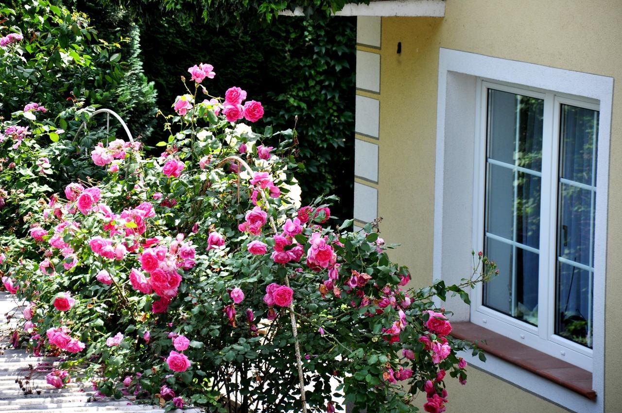 Gaestehaus Wachau Leiben Eksteriør billede